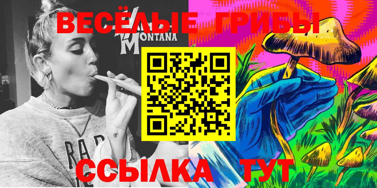 как найти наркотики  Вход с VPN  Южно-Сахалинск  Галлюциногенные грибы мухоморы  Псилоцибиновые грибы Psilocybe 